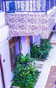 恩德培Hidden Treasure Serviced Hotel Apartments HITSHA HOTELS Entebbe的建筑物一侧的一组植物