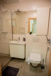 科希策Old Town city center apartment 1 - private parking included的浴室配有卫生间、盥洗盆和淋浴。