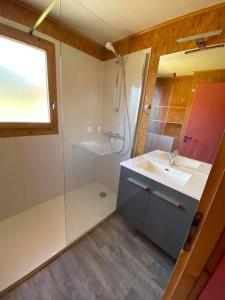 拉菲克拉Chalet nordique 31的一间带水槽和淋浴的浴室