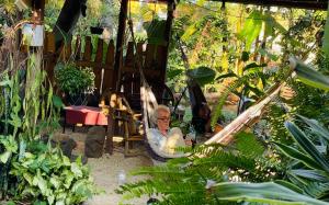 圣胡安拉拉古纳Posada Maná的坐在花园吊床上的老人