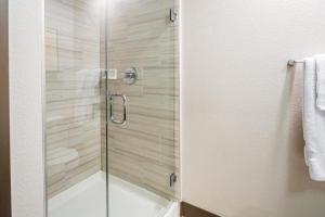 丹佛Landing Modern Apartment with Amazing Amenities (ID1959)的浴室里设有玻璃门淋浴