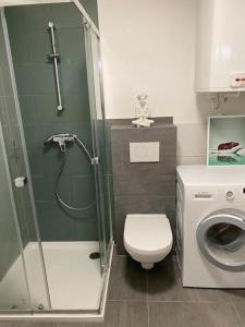 滨湖科伊查赫Ferienwohnung Seeluft的带淋浴、卫生间和洗衣机的浴室