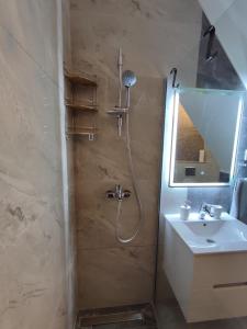 贝尔格莱德Belgrade old town apartment的带淋浴、水槽和镜子的浴室