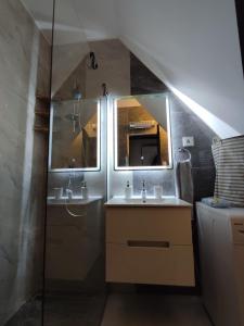 贝尔格莱德Belgrade old town apartment的一间带水槽和淋浴的浴室