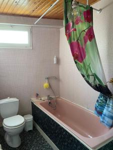 MontournaisChambre Rêve américain的浴室配有卫生间和粉红色浴缸。