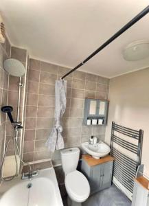 伦敦Entire 2 bedroom house in Hackney的一间带卫生间和水槽的浴室
