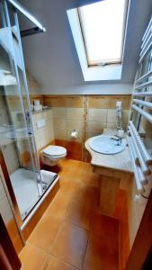 卡尔帕奇Malachit Karpacz SPA Hotel的浴室配有卫生间、盥洗盆和淋浴。