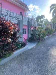 蒙特哥贝Three Palm Villa的粉红色的建筑,有门和一些植物
