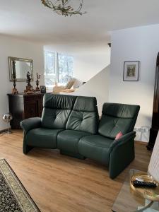 巴德加斯坦Nefer, Haus的客厅里一张绿色的皮沙发