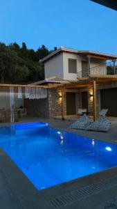 卡拉米锡Zephyros Villas - Agios Nikitas的一座大蓝色游泳池,位于房子前