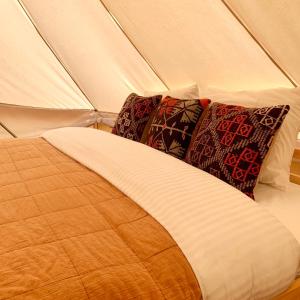Trnski OdorovciRosehip camp的帐篷内的一张床位,上面有两个枕头