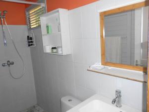 德赛Villa de 2 chambres a Deshaies a 400 m de la plage avec jacuzzi terrasse et wifi的浴室配有卫生间、盥洗盆和淋浴。