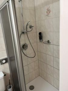因河畔布劳瑙City Hotel Post 22的浴室里设有玻璃门淋浴
