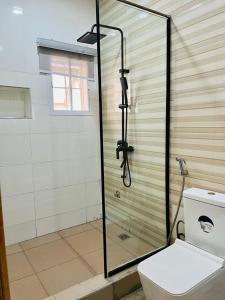 莱基Diaggello Homex Apartment的设有带卫生间的浴室内的淋浴间
