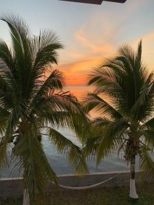 普罗维登西亚HOTEL POSADA DEL MAR的日落时分在海洋前两棵棕榈树