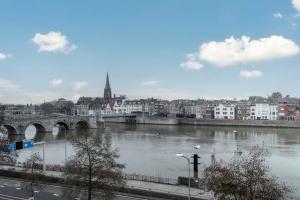 马斯特里赫特easyHotel Maastricht City Centre的一座有河流、桥梁和建筑物的城市