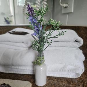 塞拉内格拉Hotel Da Vinci的花瓶,带紫色花,放在桌子上,带毛巾