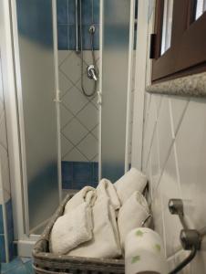 卡拉古诺内Affittacamere Casa del Sole的带淋浴的浴室,配有毛巾和椅子