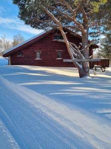 DovreKoslig hytte ved Grimsdalen的雪中树的小木屋