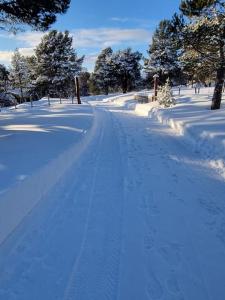 DovreKoslig hytte ved Grimsdalen的雪覆盖的雪地道路,雪地里留下脚印