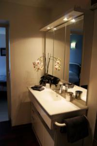 Wambrechies帕林特斯尚布里住宿加早餐旅馆的一间带水槽和大镜子的浴室
