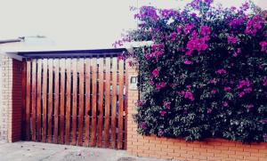 波哥大Excelente ubicación, movistar, parque simon Bolivar的墙上有一大堆粉红色的花
