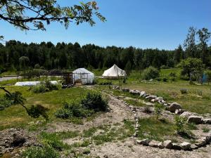 VedevågGuesthouse Andersson的田间中带蒙古包的花园