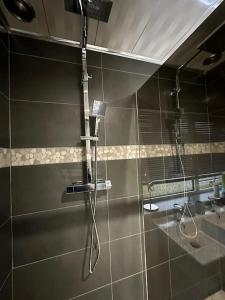 海伍德Charming Heywood retreat house的带淋浴喷头的浴室