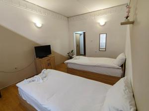 VratsaХотел Приятели的一间设有两张床和电视的房间