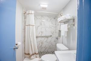 Merritt IslandAladdin Motel By OYO Merritt Island的带淋浴帘和卫生间的浴室