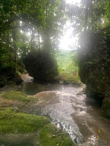 BreastworksNonsuch Falls - Journey to Paradise - Modern Waterfall Escape的相册照片