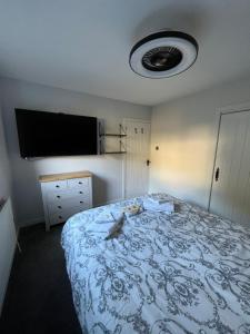 拉姆拉什The Mail Barn Studio的一间卧室配有一张床和一台平面电视