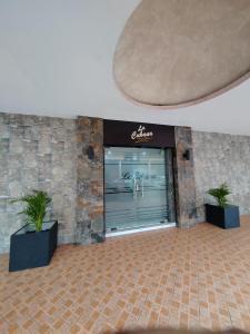 科隆La Cubana Hotel & Suites的商店前方有窗户和两株盆栽植物