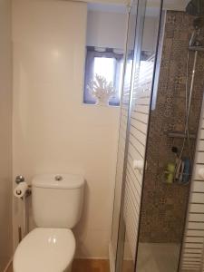 科尔多瓦Apartamento Barrionuevo的一间带卫生间和淋浴及窗户的浴室