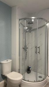 CaistorCaistor Bed & Breakfast的浴室设有玻璃淋浴间和卫生间