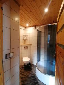 希隆斯克地区扎古热Fala - Domki do wynajecia的带浴缸和卫生间的浴室。