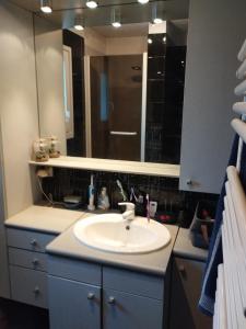 Marnay-sur-SeineChambre chez l'habitant avec Sdb et WC privatifs的一间带水槽和大镜子的浴室