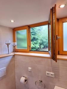 弗赖翁Nurdachhaus am Geyersberg的浴室设有窗户和卫生纸卷