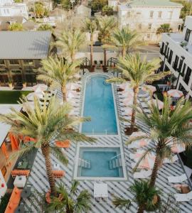萨凡纳Hotel Bardo Savannah的享有棕榈树酒店和游泳池的顶部景色