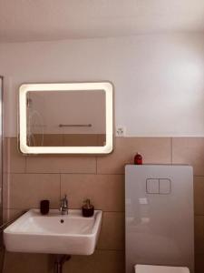 达沃斯The Holiday Home Davos的一间带水槽、镜子和卫生间的浴室