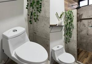 韦拉克鲁斯Departamento climatizado excelente ubicación的浴室配有白色卫生间和植物