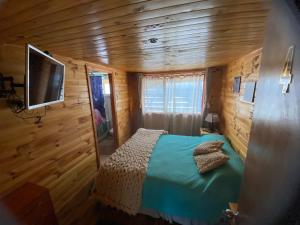 锡斯内斯港Hospedaje Alto Palena de Puerto Cisnes的小木屋内的卧室配有1张床和电视