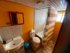 锡斯内斯港Hospedaje Alto Palena de Puerto Cisnes的一间带水槽、卫生间和淋浴的浴室