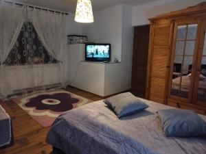 GhimbavMilu Residence 2的一间卧室配有一张床和一台电视