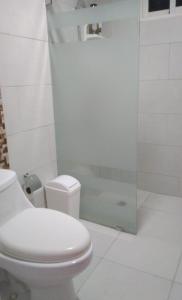 Los ParedonesApartamento en Santo Domingo的白色的浴室设有卫生间和淋浴。