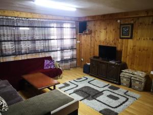 马夫罗沃Mountain Lodge - Mavrovo的带沙发和电视的客厅