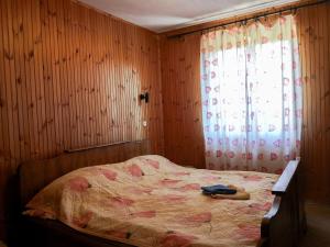 马夫罗沃Mountain Lodge - Mavrovo的一间卧室配有一张木墙床