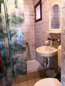 马夫罗沃Mountain Lodge - Mavrovo的一间带水槽和淋浴帘的浴室