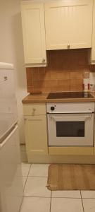 South NorwoodCroydon Homestay-Shared Apartment with Shared Bathroom的厨房配有白色炉灶和冰箱。