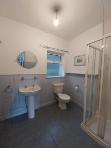 GweedoreRosie's cottage的浴室配有卫生间、盥洗盆和淋浴。